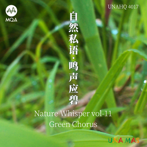 86178cc改名后叫什么
